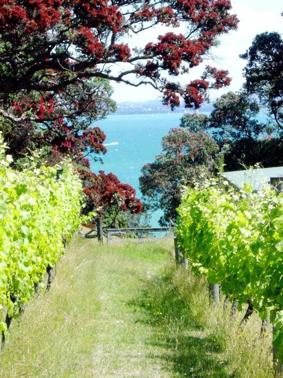 Waiheke Island Vineyard Holiday Houses Surfdale Buitenkant foto